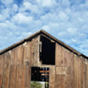 Meet your Posher, Jake